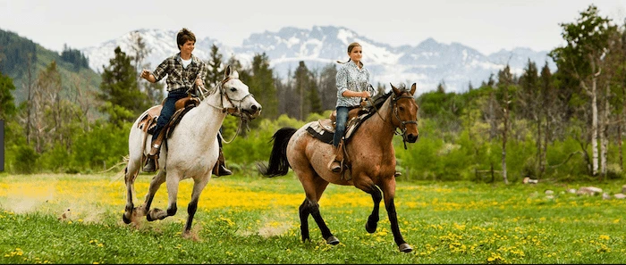 Confident plus-size woman riding Loughborouogh a horse through a field with a smile on her face.